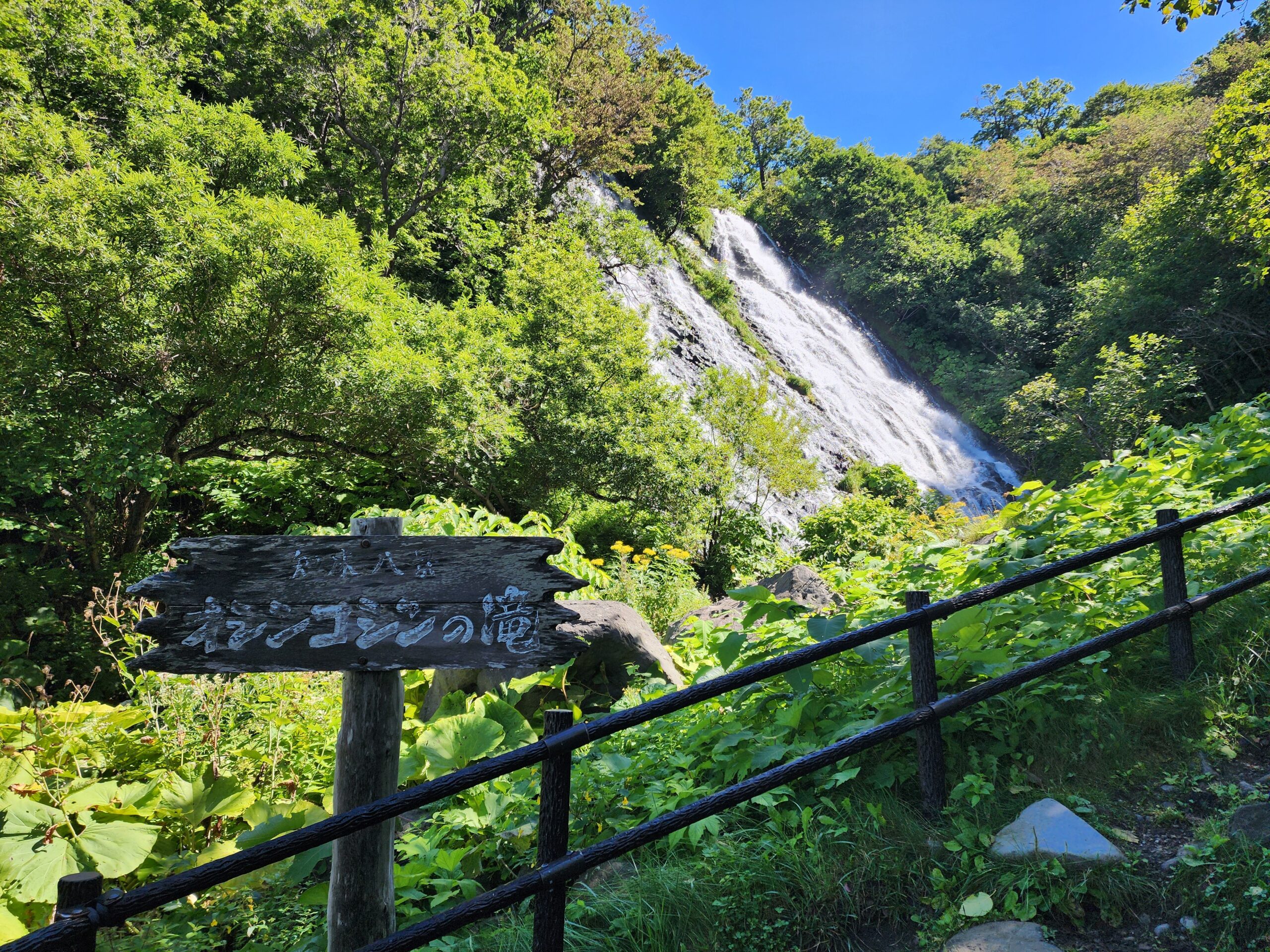 oshinkoshin falls 