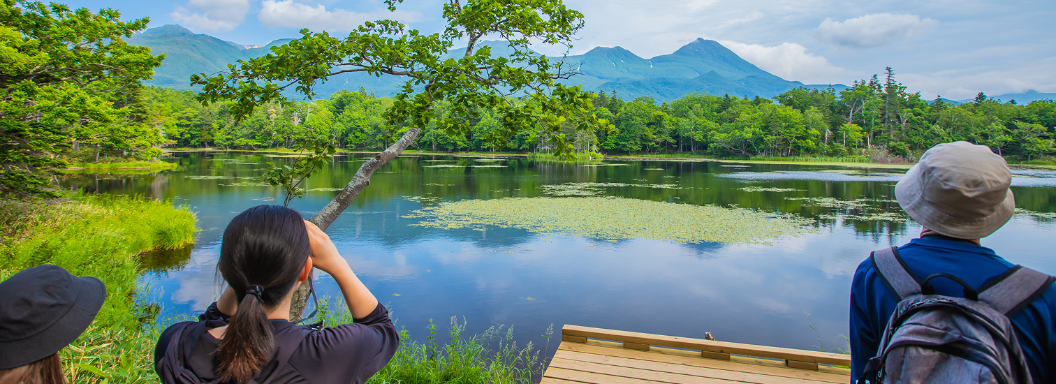 Ready for an unforgettable adventure? Discover Shiretoko's wild landscapes, rare wildlife, and remote serenity on Japan's northern edge.