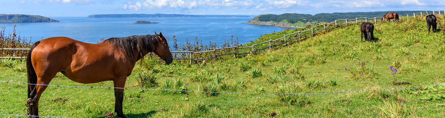 Not sure where to start? Explore our suggested itineraries that highlight the best of Eastern Hokkaido, whether you’re here for a few days or an extended adventure.