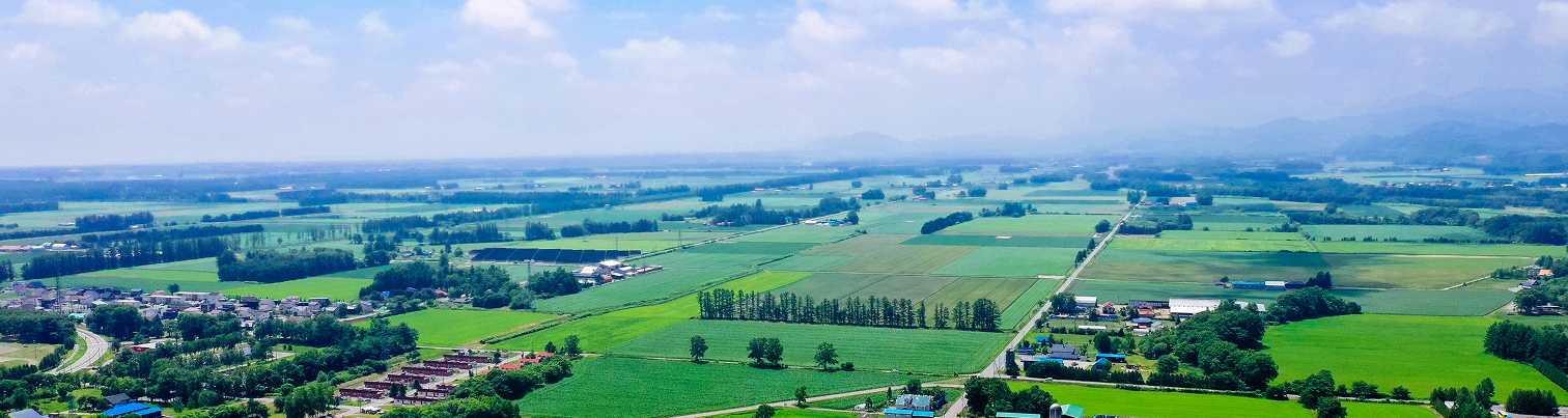 Find out the best ways to reach Eastern Hokkaido and travel within the region. Whether by air, bus, or car, we’ll guide you on how to move around with ease.